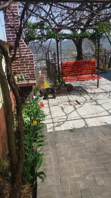 Фото номера Вилла с 3 спальнями Дома для отпуска Casa Ducana г. Оршова 72