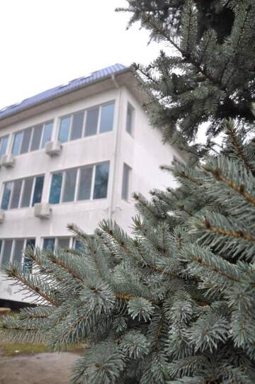 Фото номера Двухместный номер с 1 кроватью или 2 отдельными кроватями Гостевой дом Flamingo Residence (Complex Manea) г. Оршова 11