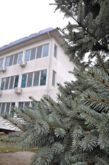 Фото номера Двухместный номер с 1 кроватью или 2 отдельными кроватями Гостевой дом Flamingo Residence (Complex Manea) г. Оршова 76